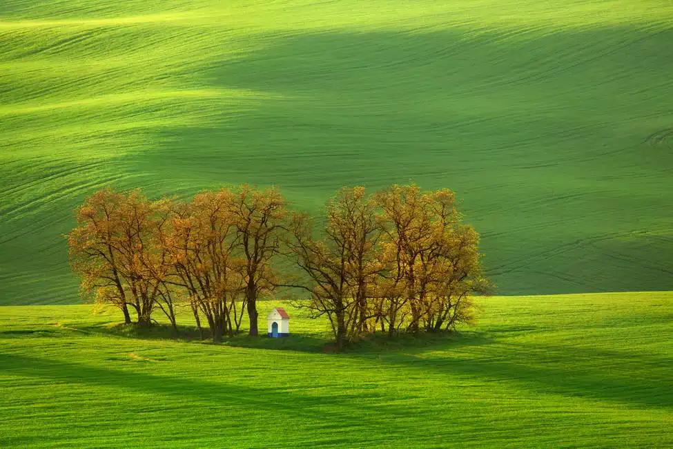 Unknown: Paesaggio primaverile della Moravia meridionale