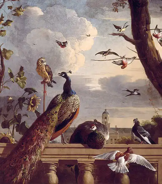 Hondecoeter, Melchior: Birds with balustrades