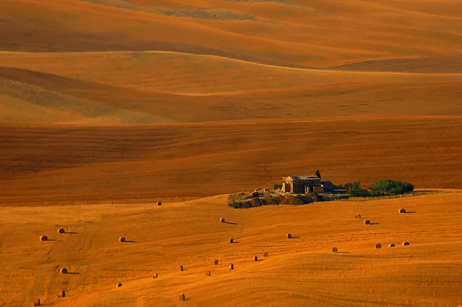 Kravanja, Jure: Zlatý horizont