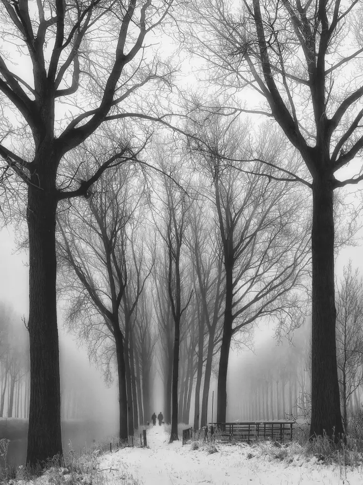 Yvette,,,, Depaepe,,,,: Then winter comes
