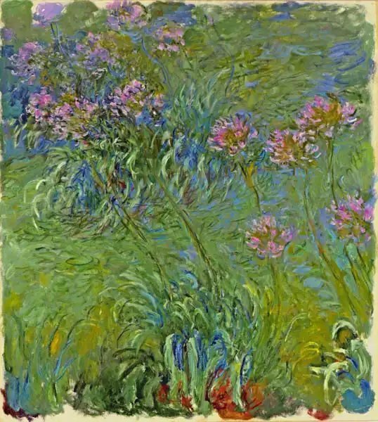 Monet, Claude: Fiori di agapanto