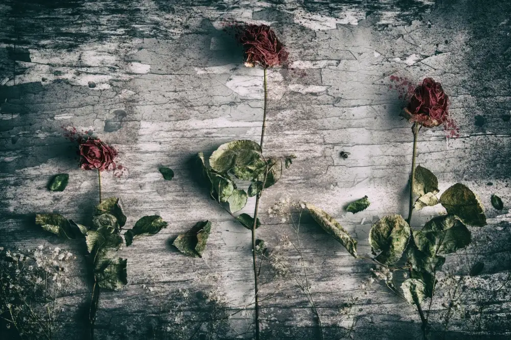 Damstén, Petri: Dead Roses and a Fly