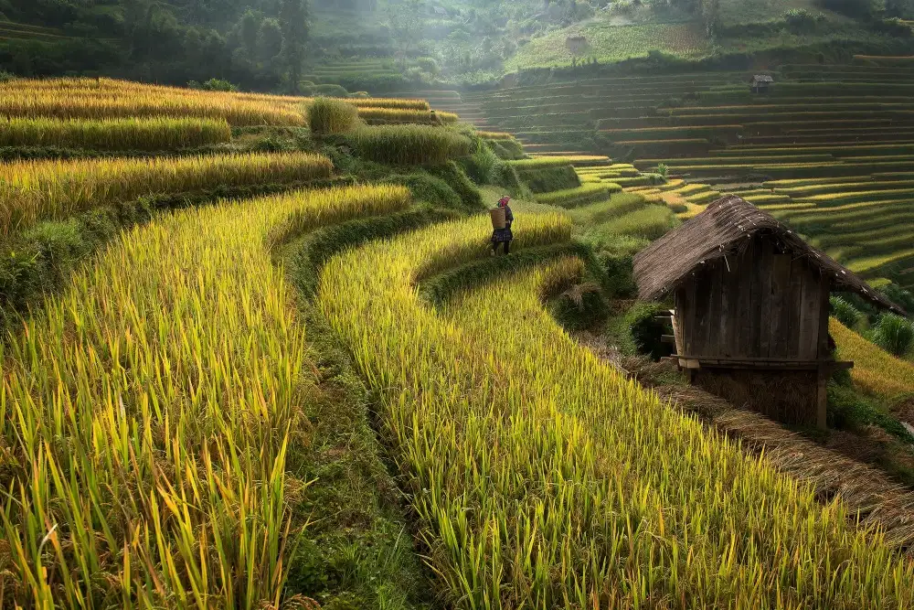 Intarob, Sarawut: Keep walking