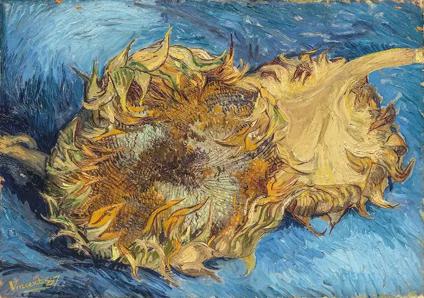 Gogh, Vincent van: Sunflower