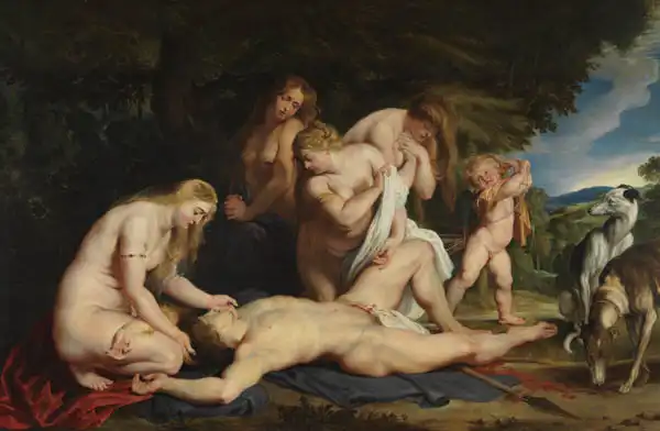 Rubens, Peter Paul: Adon