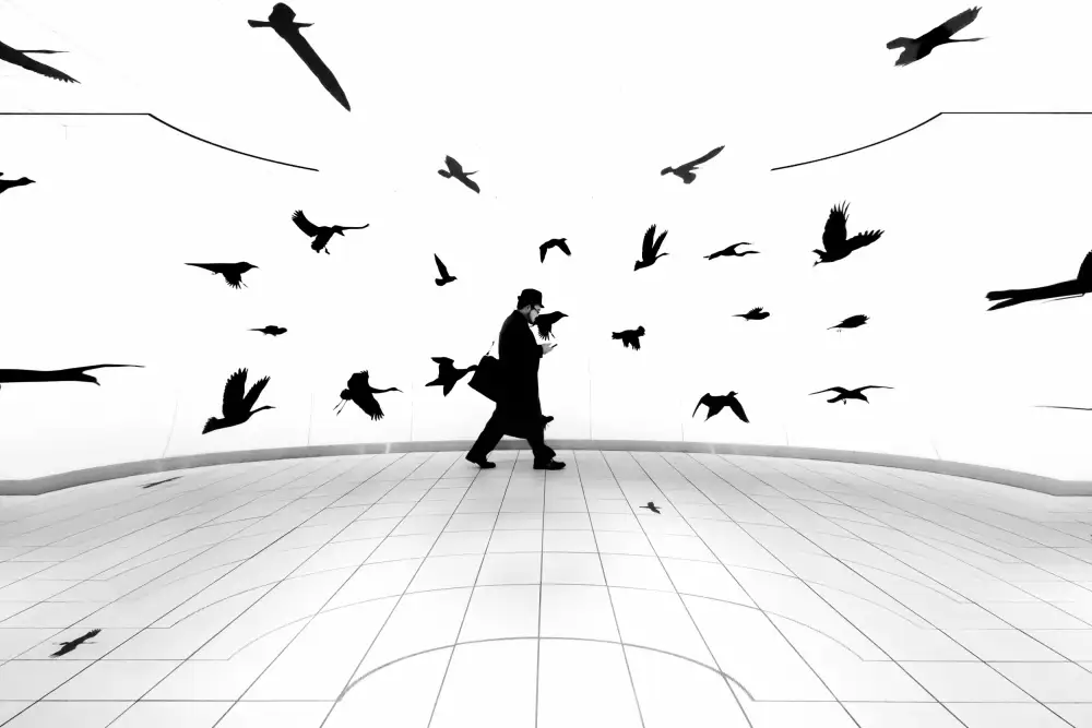 Hashimoto, Tetsuya: A man and birds