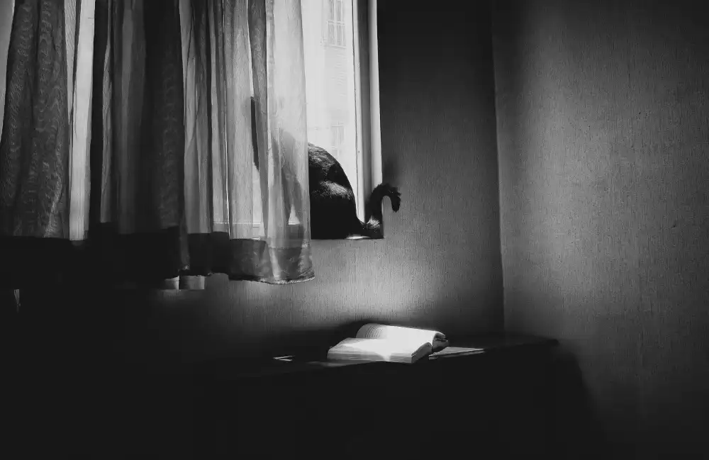 Haghi, Babak: My room