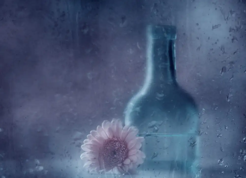 Devos, Delphine: Die blaue Flasche