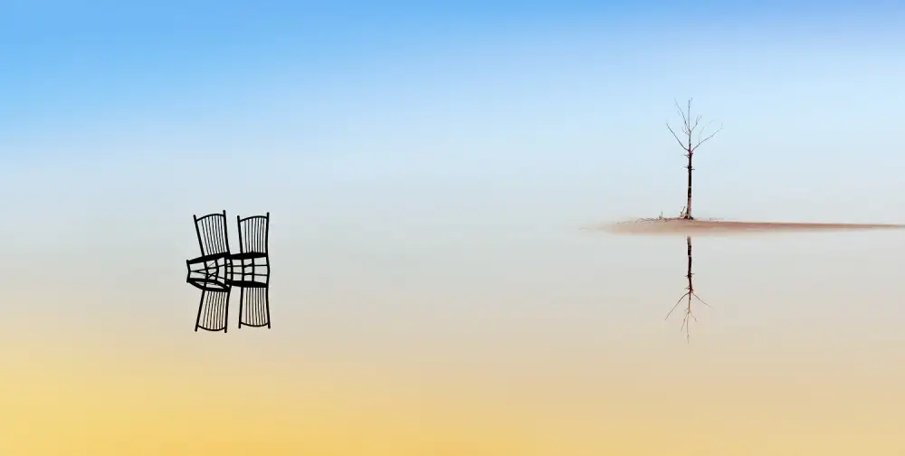 Duran, Luis Juan: Two Chairs and a Tree