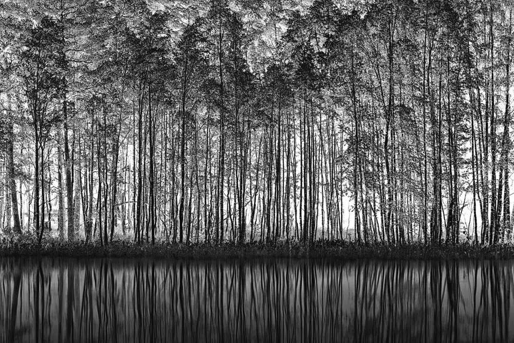 Schleicher-Schwarz, Roswitha: Pointillisme Nature
