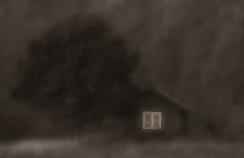 Wallberg, Allan: The little cottage in the woods