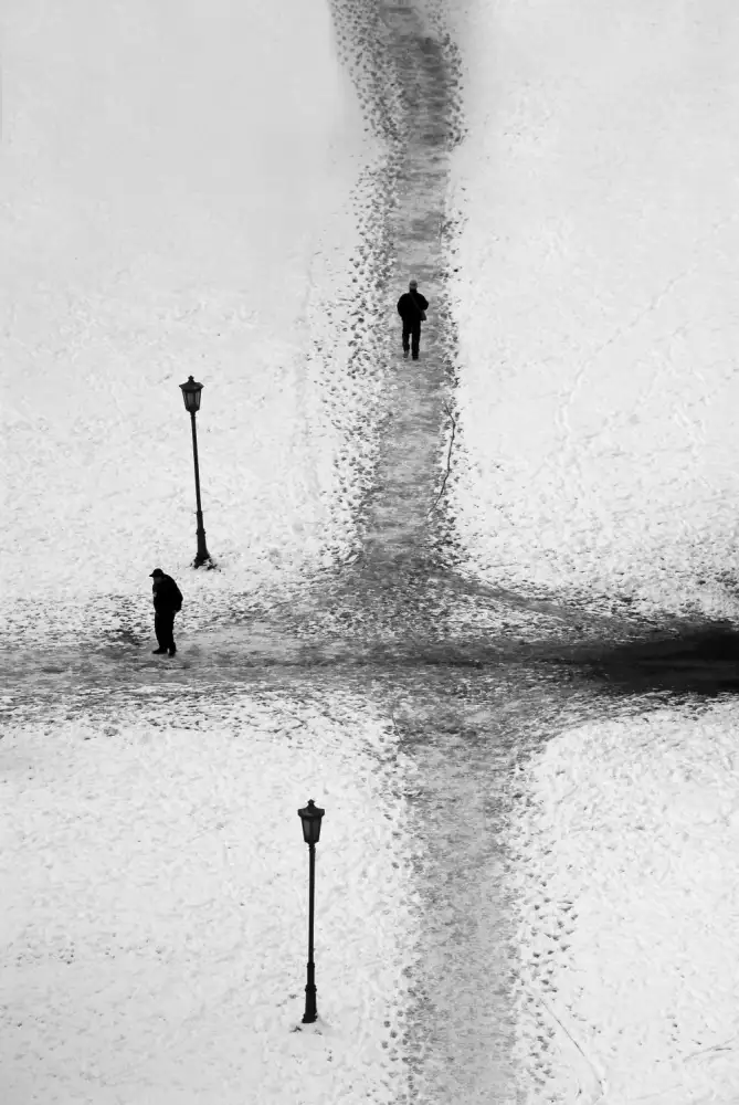Lapcevic, Dragan: Crossroads