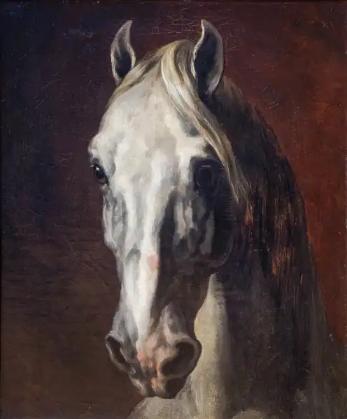Géricault, Théodore: Tete de cheval bl...