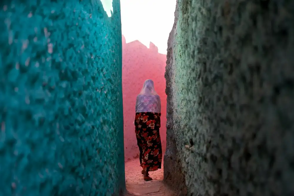 Cole, Trevor: Die Farben von Harar