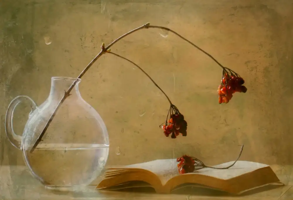 Devos, Delphine: Ein Buch