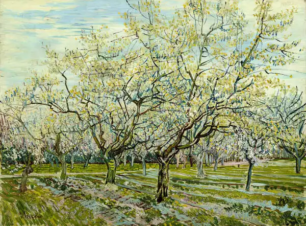 Gogh, Vincent van: Le verger blanc
