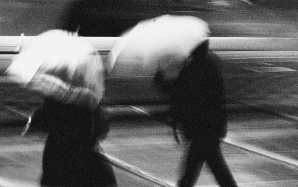Wang, Jian: Lluvia de la mañana