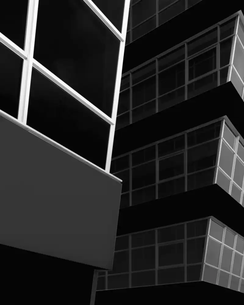 Azevedo, Olavo: LINES AND CONTRAST
