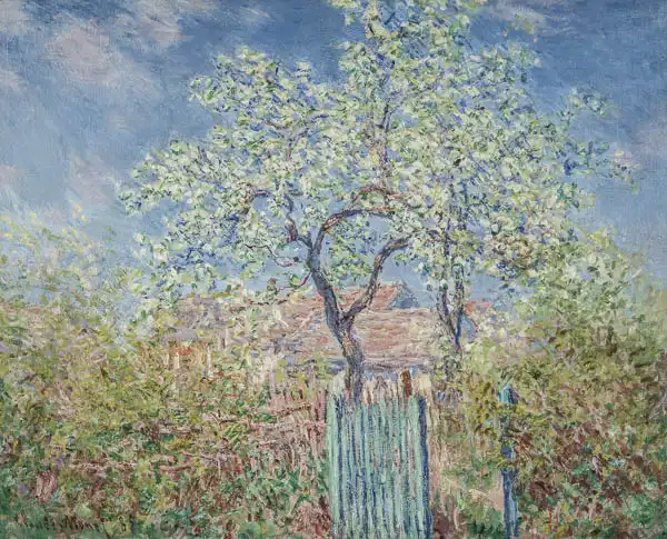 Monet, Claude: Pear