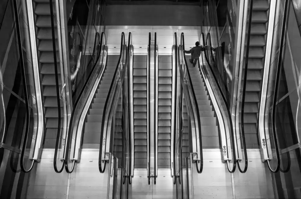 Hoog, de Roelof: Ups and downs
