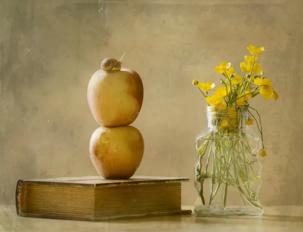 Devos, Delphine: Wilde Blumen