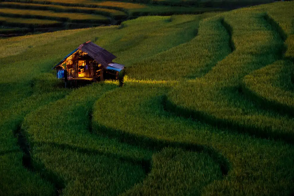 Intarob, Sarawut: Light in Home