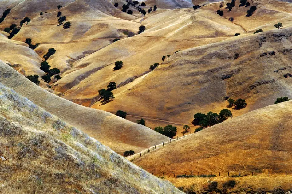 Kravanja, Jure: Golden hills