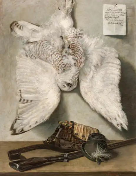 Purkyne, Karel: Harfang des neiges