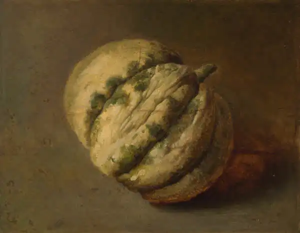 Navratil, Josef: Green melon