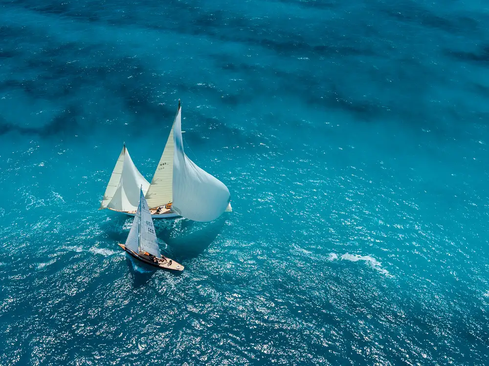 Pelissier, Marc: Croisement bleu