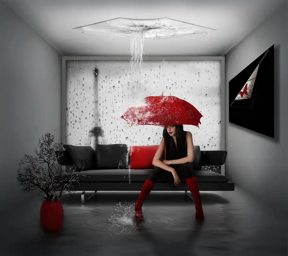 Simongulashvili, Natalia: Rain in Paris