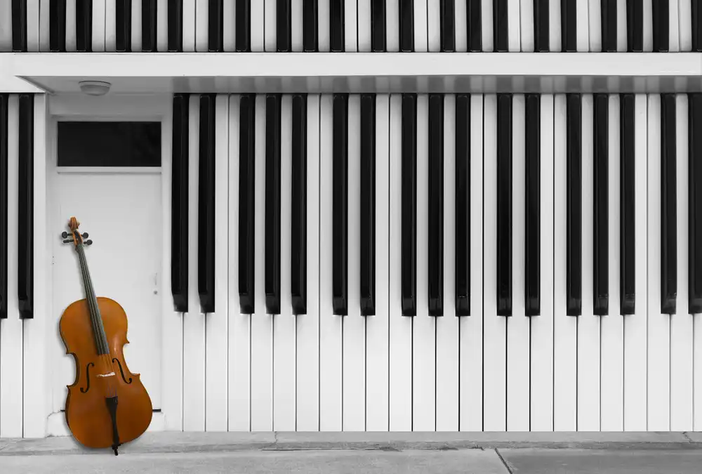Hammer, Jacqueline: Cello an der Tür
