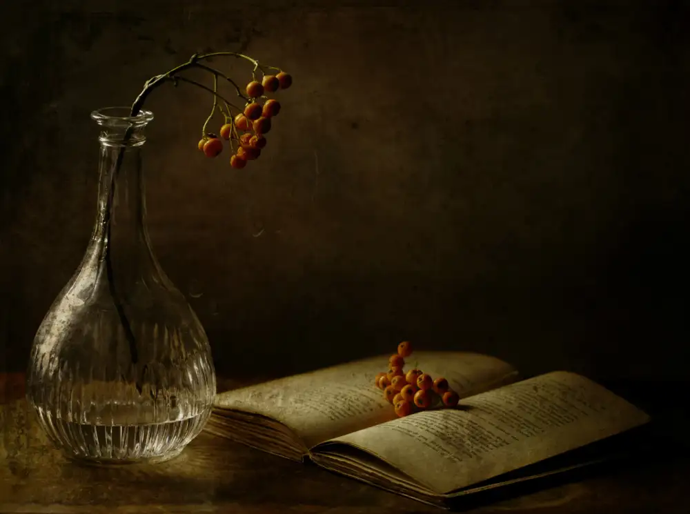 Devos, Delphine: In the dark of my days