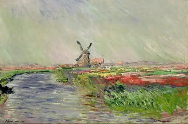 Monet, Claude: Tulip field in the Netherlands