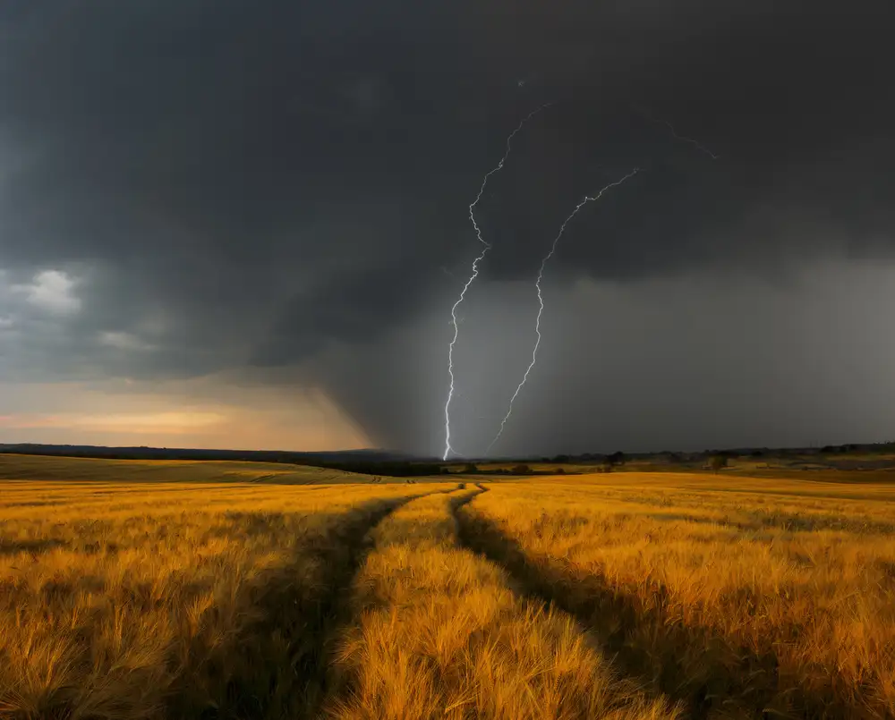 Schumacher, Nicolas: Wetterfront