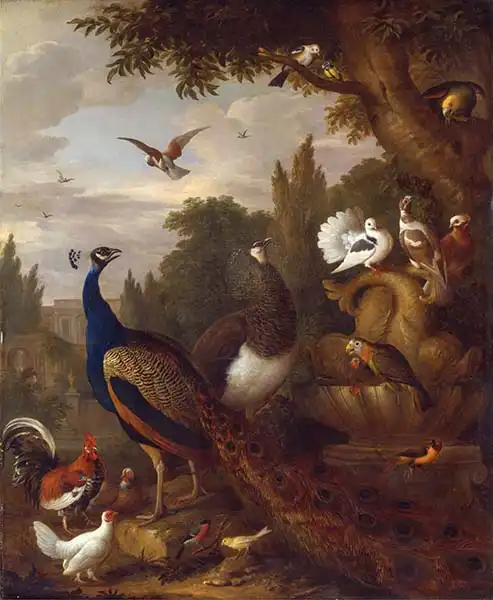 Bogdani or Bogdany, Jakob: Pavo real, pavo real, loros, canarios y otras aves en un parque, c.1708-10