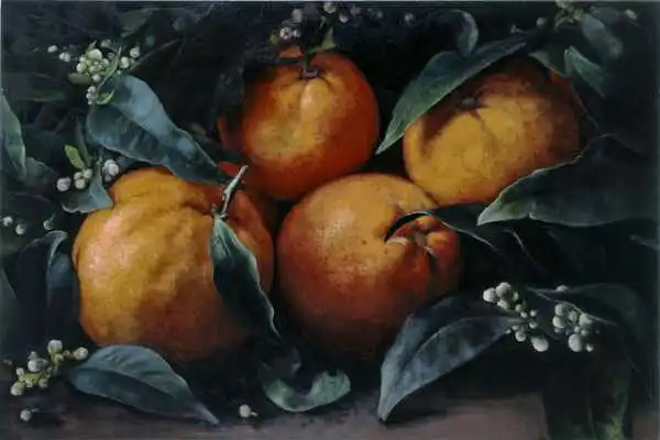 Weber, Max: No 399, Oranges