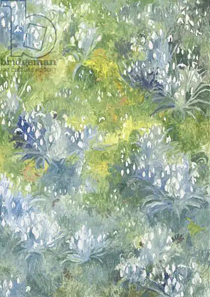 Glover, Leig: Snowdrops