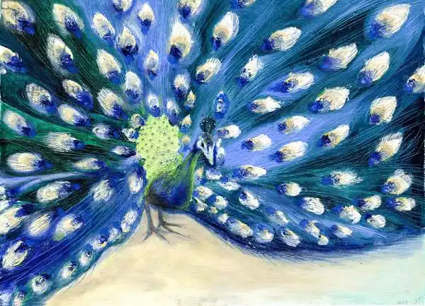 Moniz Charalambous, Nanc: Peacock Eyes