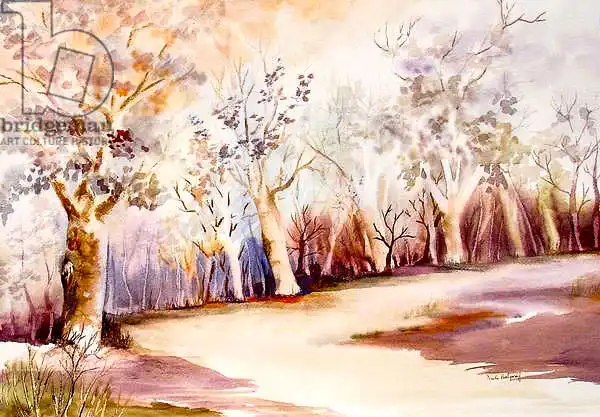 Pushparaj, Neel: Pathway with Trees