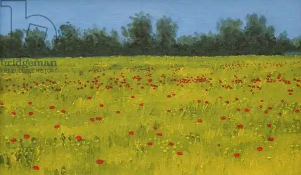 Byrne, Alan: Champ jaune avec coquelicots