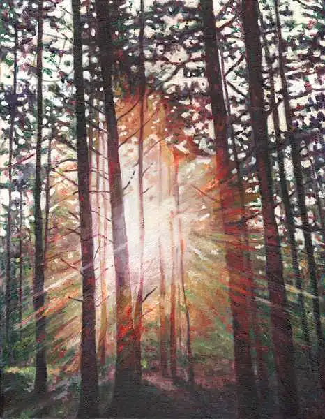 White, Hele: Sunburst