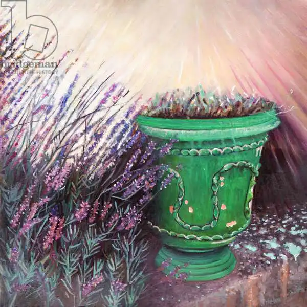 White, Hele: Provencal garden II