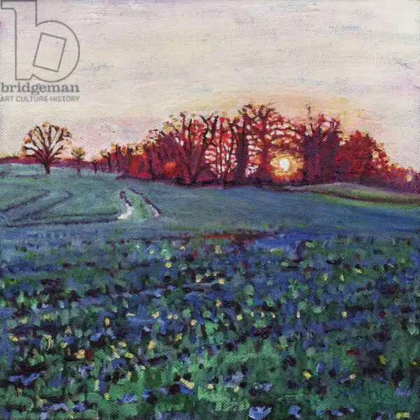 White, Hele: Sun greets the earth