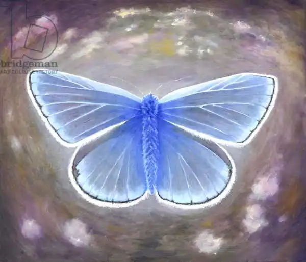 White, Hele: Uncommon blue