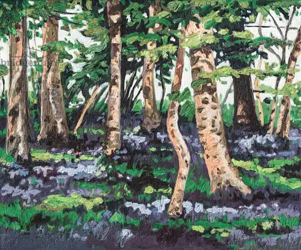 White, Hele: Bluebell Wood
