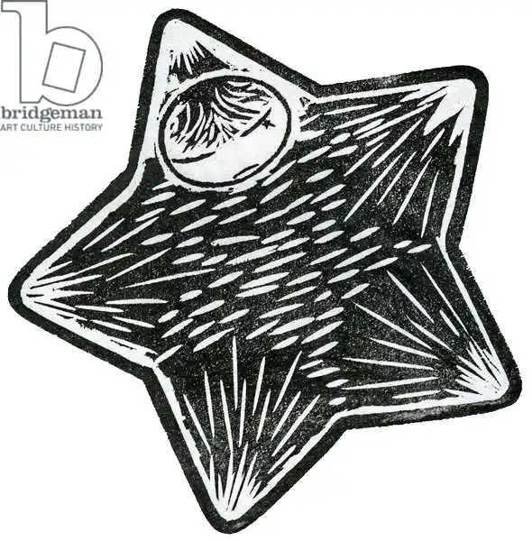 Larsson, Carl: Sternenkind