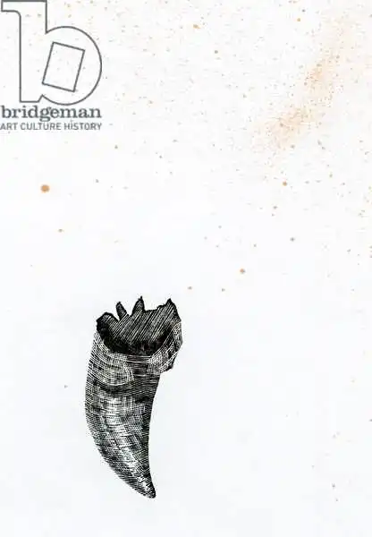 Larsson, Carl: Zahn {Fay-Erie Dust}