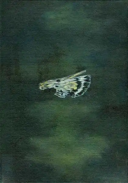 Larsson, Carl: Mottenflügel