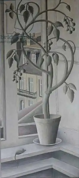 Addinall, Rut: Plante dans la fenêtre